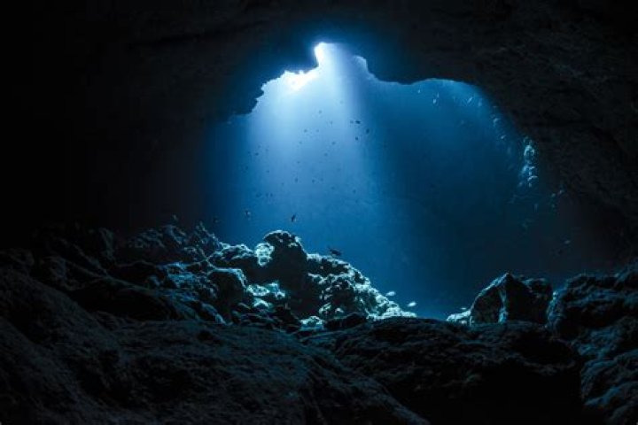 Exploring The Depths Of "Hub The Movie": A Cinematic Journey